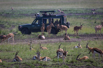 ホテル Elewana Sand River Masai Mara マサイマラ国立保護区 エクステリア 写真